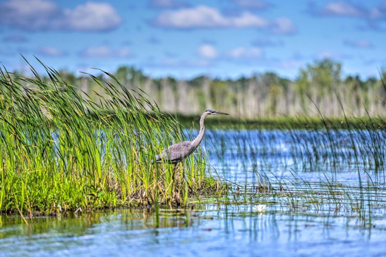 East Tawas Lakefront Getaway With Kayaks And Deck エクステリア 写真